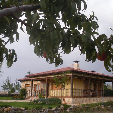 Casa Rural La Galiana Villa Algora Exterior foto