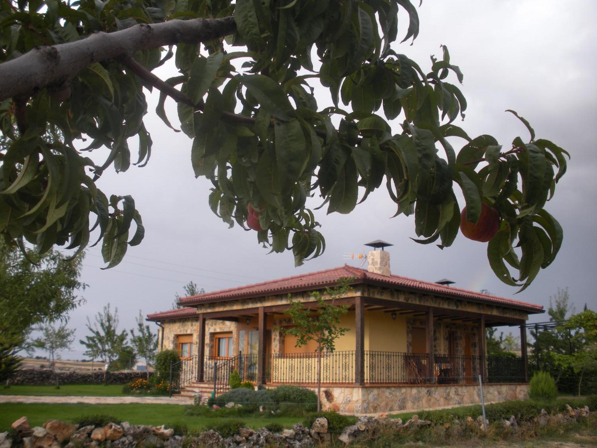 Casa Rural La Galiana Villa Algora Exterior foto